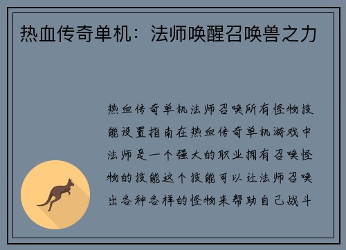 热血传奇单机：法师唤醒召唤兽之力